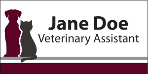 NTDC8 - Full Color Name Tag (NTDC8)