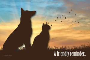 Silhouettes of a dog and cat at sunset with flying birds and the message "A friendly reminder..."