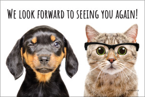Winking puppy and cat wearing eyeglasses with the message "We Look Forward to Seeing You Again!"