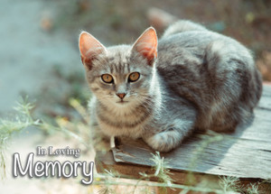 SYMCAT38 - Sympathy Card