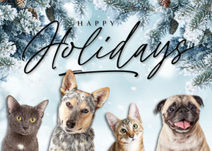 XMS52 - Holiday Card (XMS52)