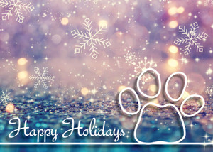 XMS57 - Holiday Card (XMS57)