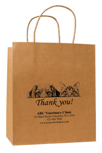 HSD58 - Personalized Handled Paper Bag (Multiple Imprint Colors Available) (HSD58)