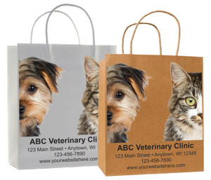 FCHSD12 - Personalized Handled Paper Bag (Multiple Imprint Colors Available)