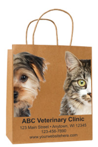 FCHSD12 - Personalized Handled Paper Bag (Multiple Imprint Colors Available)