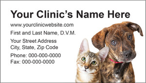 Veterinary business card featuring a brindle puppy with a red collar and a green-eyed tabby cat beside clinic contact information.

