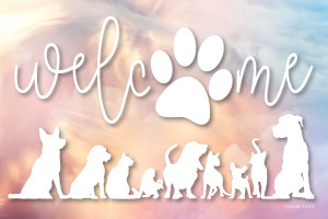 Welcome design featuring a large paw print, pet silhouettes, and a soft pastel watercolor background.