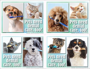 4DENTALMIX4 - 4 Up Reminder Cards (4DENTALMIX4)