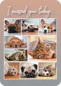 Front features “I missed you today...” above a collage of dog and cat photographs; back displays a memorial poem within a rounded border on a textured background.

