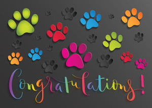 CONGRATS3- Congratulations Card (CONGRATS3) CONGRATS3- Congratulations Card (CONGRATS3)