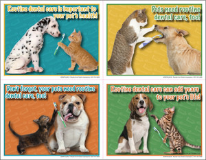 4DENTALMIX3  - 4 Up Reminder Cards 4DENTALMIX3  - 4 Up Reminder Cards