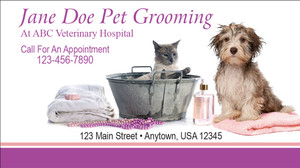 Veterinary grooming business card featuring a cat in a wash tub, a dog on a pink towel, towels, soap, and grooming accessories.

