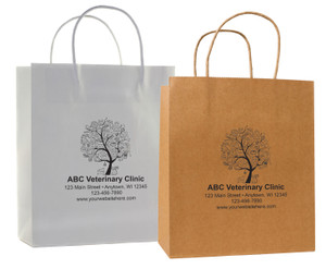HSD62 - Personalized Handled Paper Bag (Multiple Imprint Colors Available) (HSD62)
