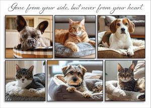 SYM61 - Sympathy Card (SYM61)