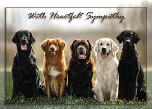 SYMDOG66 - Sympathy Card (SYMDOG66)