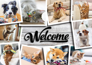 WELCOMEDC29 - Welcome Card (WELCOMEDC29)