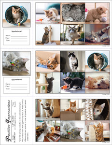 3CATMIX13 - 3 up Reminder Card (3CATMIX13)