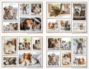 4DCMIX63- 4 up Reminder Card (4DCMIX63)