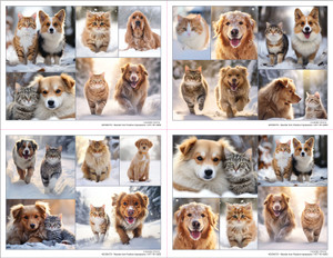 4DCMIX70- 4 up Reminder Card (4DCMIX70)