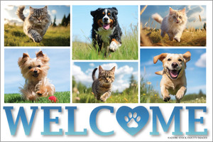Collage of running dogs and cats outdoors above a large blue WELCOME message with a paw print heart.

