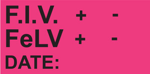 Bright pink rectangular sticker with F.I.V. and FeLV fields, plus and minus indicators, and DATE line

