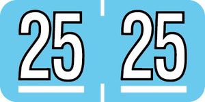 YL25: Filing Systems (YL25)