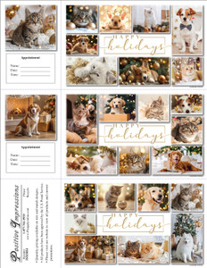 3XMS1 - 3 Up Reminder Cards (3XMS1)