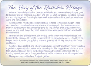 Wildflower seed memorial insert featuring The Story of the Rainbow Bridge text on a soft pastel background with lavender, pink, blue, yellow, and green tones.