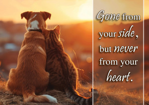 SYM69 - Sympathy Card (SYM69)  SYM69 - Sympathy Card (SYM69)