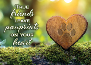 SYMPAW35 - Sympathy Card (SYMPAW35)