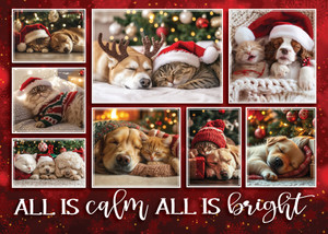 XMS74 - Holiday Card (XMS74)