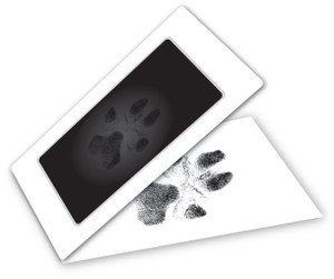 INK2 - 2 3/5" x 5" Inkless Pad Kit (INK2)