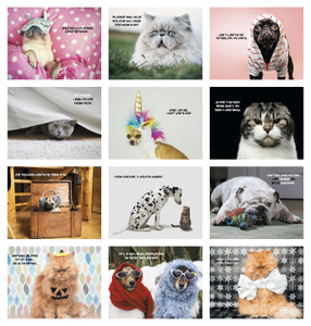 FCAL3P: 13 month Full-Size Calendar  Monthly