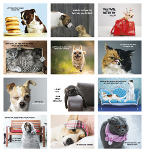 FCAL3P: 13 month Full-Size Calendar  Monthly