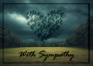 Dark cloudy sky over an open field with a heart shape formed by multiple paw prints and the words “With Sympathy” in bold script at the bottom.