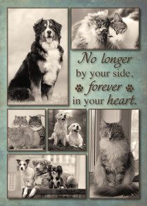 Sepia collage sympathy card of dogs and cats and the saying “No longer by your side, forever in your heart."