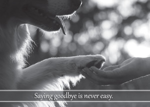 Black-and-white image of a dog placing a paw into a person’s hand with the message “Saying goodbye is never easy.” overlaid at the bottom.