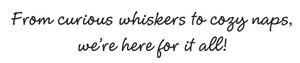 The Welcome verse is “From curious whiskers to cozy naps, we’re here for it all!” in a handwritten-style font.