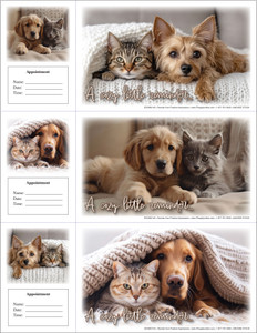 Veterinary reminder card sheet featuring puppies and kittens wrapped in soft blankets with cozy indoor setting and â€œA cozy little reminderâ€ text