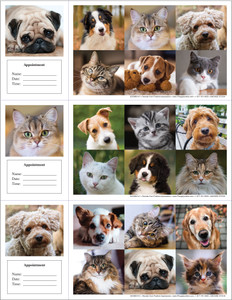Reminder card sheet featuring close-up pet portrait collage of dogs and cats in a clean, professional grid layout with appointment section