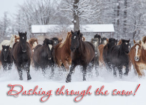 XMS18 - Holiday Card