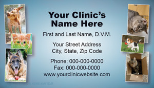 Veterinary business card with a collage of dog and cat photographs, blue gradient background, and centered clinic contact information.

