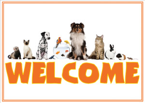 WELCOMEMIX2 - Welcome Card WELCOMEMIX2 - Welcome Card
