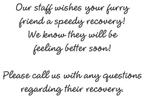 GW2 - Standard Message GW2 - Standard Message