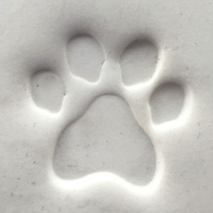 Detailed paw print impression pressed into white clay using the Paw Print Impression Stamp accessory for pet memorial and keepsake impression kits.

