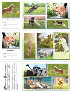 3DCMIX84 - 3 up laser