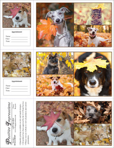 3FALLMIX9 - 3 up laser