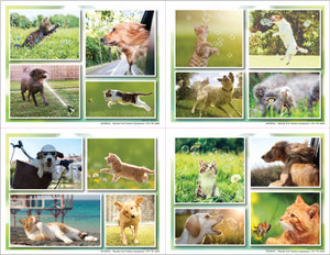 4DCMIX41 - 4 up laser