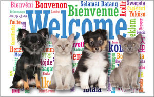 Puppies and kittens in front of a colorful Welcome background featuring multiple languages and paw print accents.

