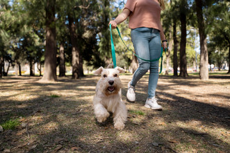 Why Every Pet Owner Should Carry a Mini First Aid Kit for Outdoor Adventures